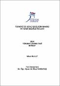 Küçük Resim