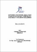 Küçük Resim